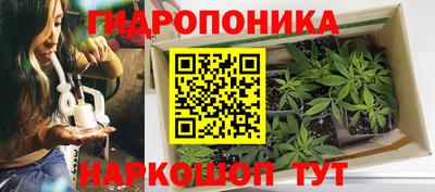 jwh Шебекино