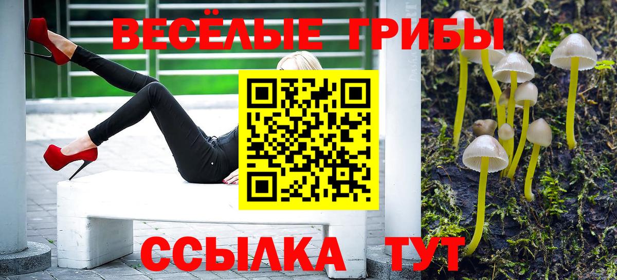 Галлюциногенные грибы Magic Shrooms  Вход с VPN  Кирово-Чепецк 